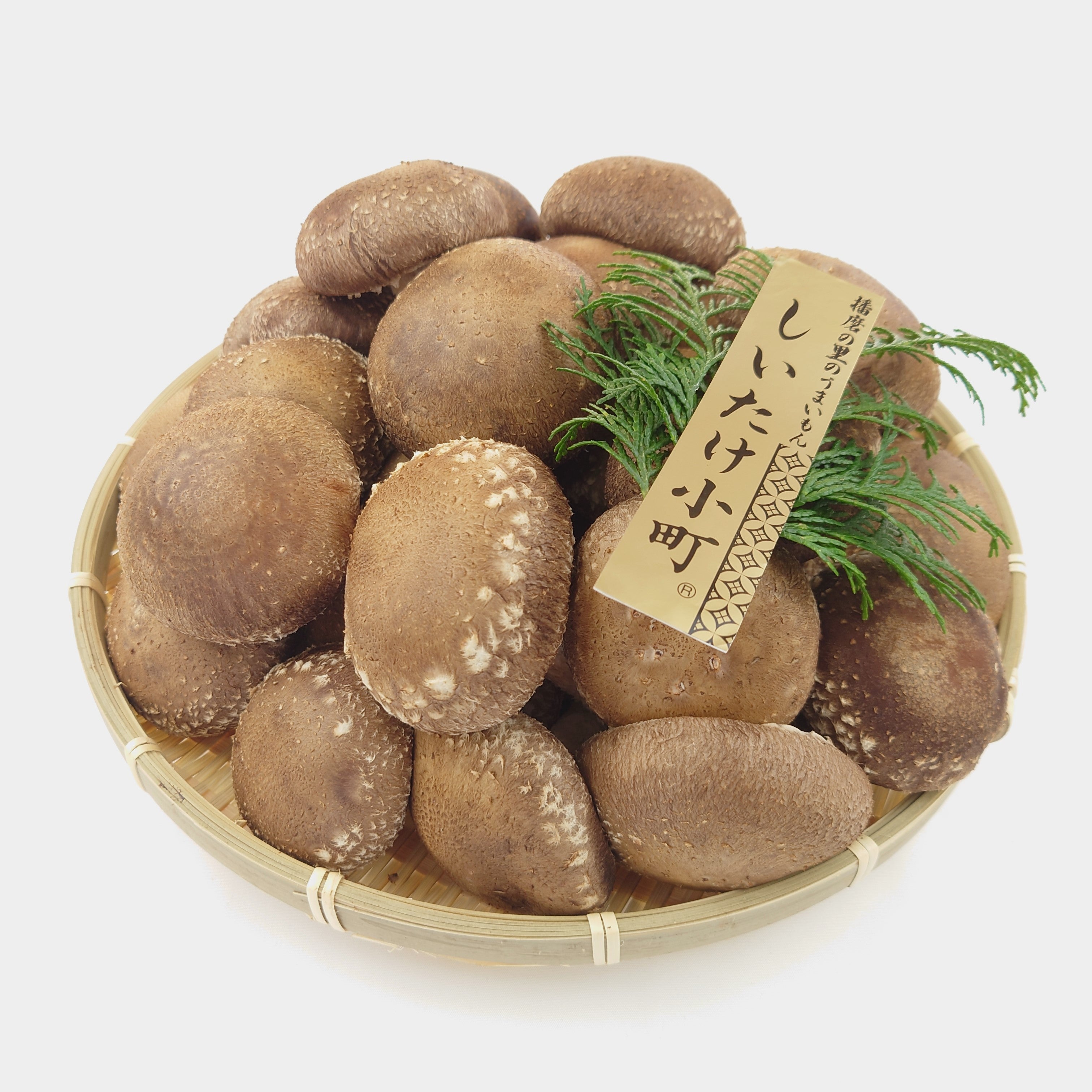 兵庫県産生椎茸 しいたけ小町 – hanaテラス公式オンラインショップ