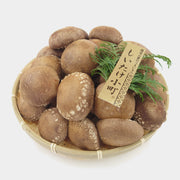 兵庫県産生椎茸　しいたけ小町